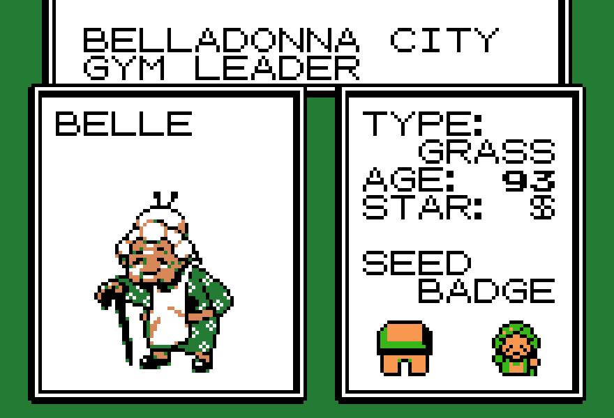 Pokemon GBC Project